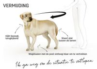Herken-de-lichaamstaal-van-je-hond (2)