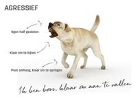 Herken-de-lichaamstaal-van-je-hond (5)