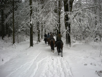 Paardrijden in de winter 2